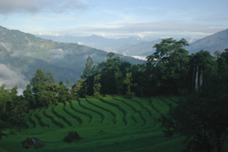 Hills and rice terraces surrounding Gandhi Ashram School.