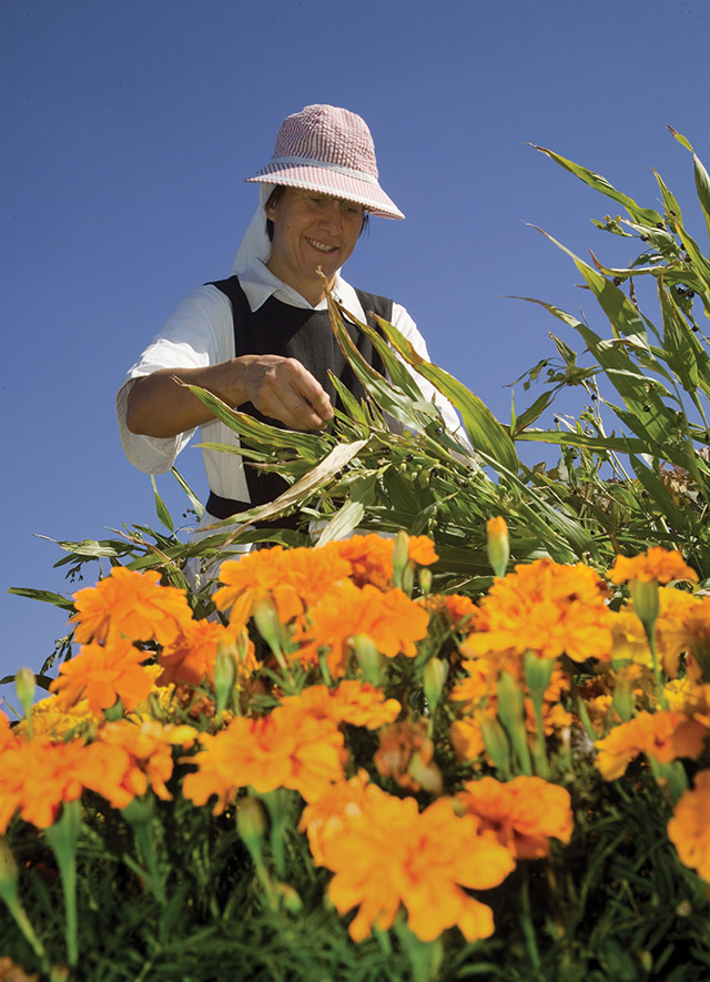 Sister Myra Hill, O.C.S.O. works in the garden.