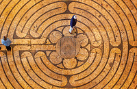 The stone-inlaid labyrinth in the nave of the 13th-century Chartres Cathedral